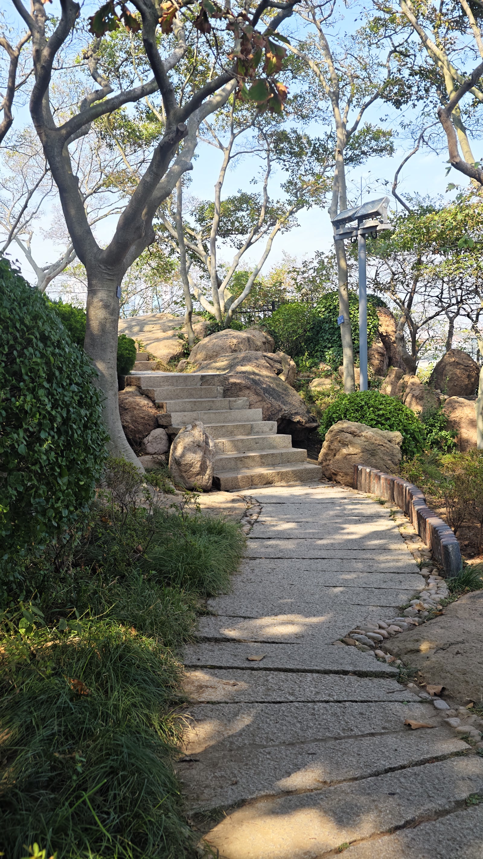 山东·青岛一景